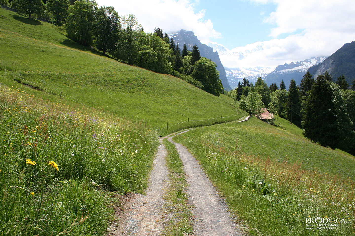 Wengen